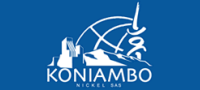 Koniambo uses PointFire for Multilingual Collaboration